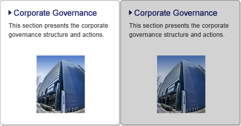 Corporate Governance / This section presents the corporate governance structure and actions.