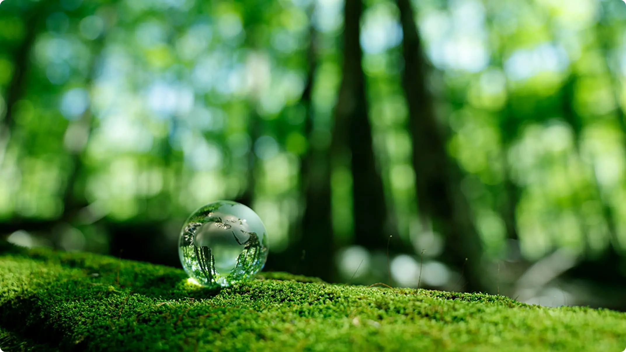 水銀フリー社会実現への貢献