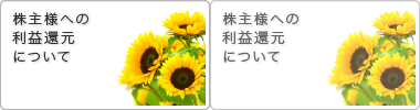 株主様への利益還元について