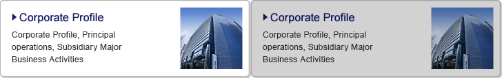 Corporate Profile / Corporate Profile, Principal operations, Subsidiary Major Business Activities