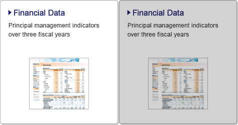 Financial Data / Principal management indicators over three fiscal years