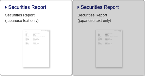 Securities Report (japanese text only)