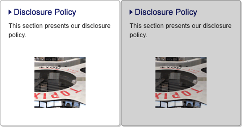 Disclosure Policy / This section presents our disclosure policy.