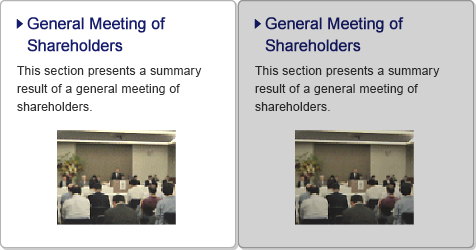 General Meeting of Shareholders / This section presents a summary result of a general meeting of shareholders.