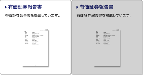 有価証券報告書